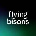 Flyingbisons